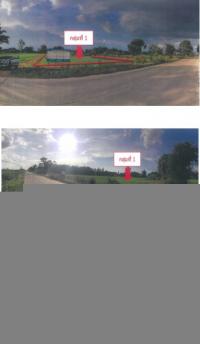ขายที่ดินเปล่า