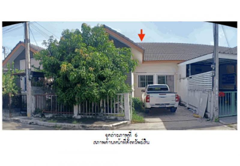 ลำผักกูด ธัญบุรี ปทุมธานี