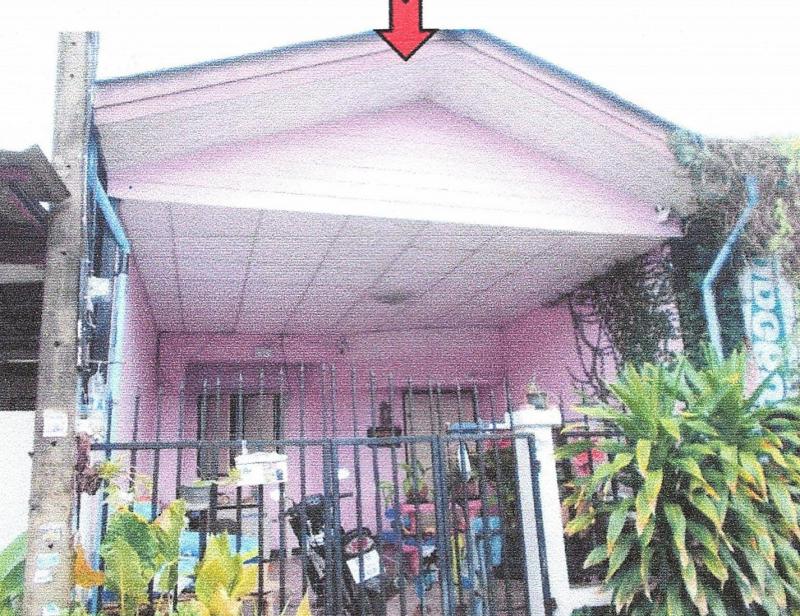 ลำผักกูด(คลองฝั่งใต้ ธัญบุรี ปทุมธานี