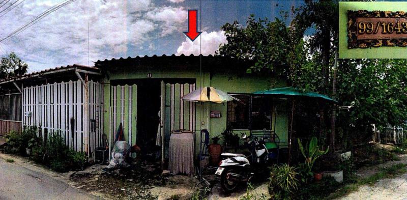 ลำผักกูด(คลองฝั่งใต้) ธัญบุรี ปทุมธานี