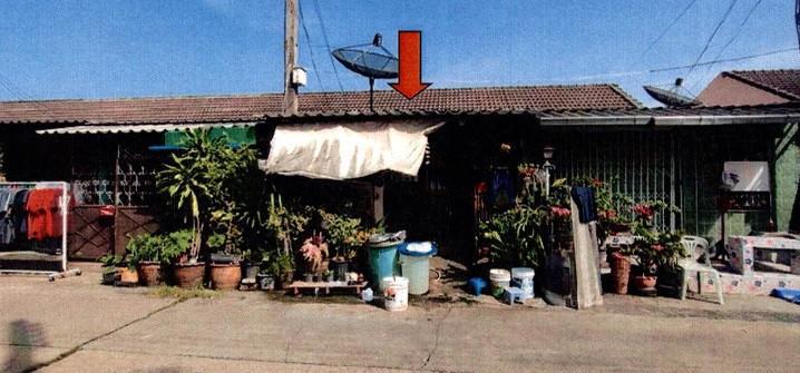 ลำผักกูด(คลองฝั่งใต้) ธัญบุรี ปทุมธานี