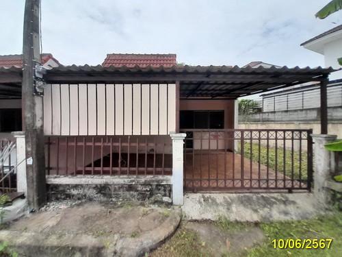 ลำผักกูด(คลองรังสิตฝั่งใต้) ธัญบุรี ปทุมธานี