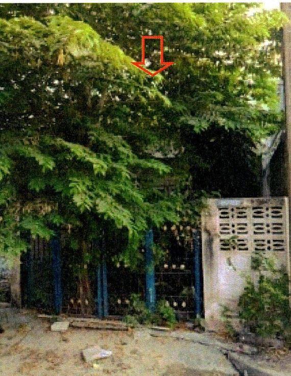 บึงน้ำรักษ์(คลองฝั่งเหนือ) ธัญบุรี ปทุมธานี