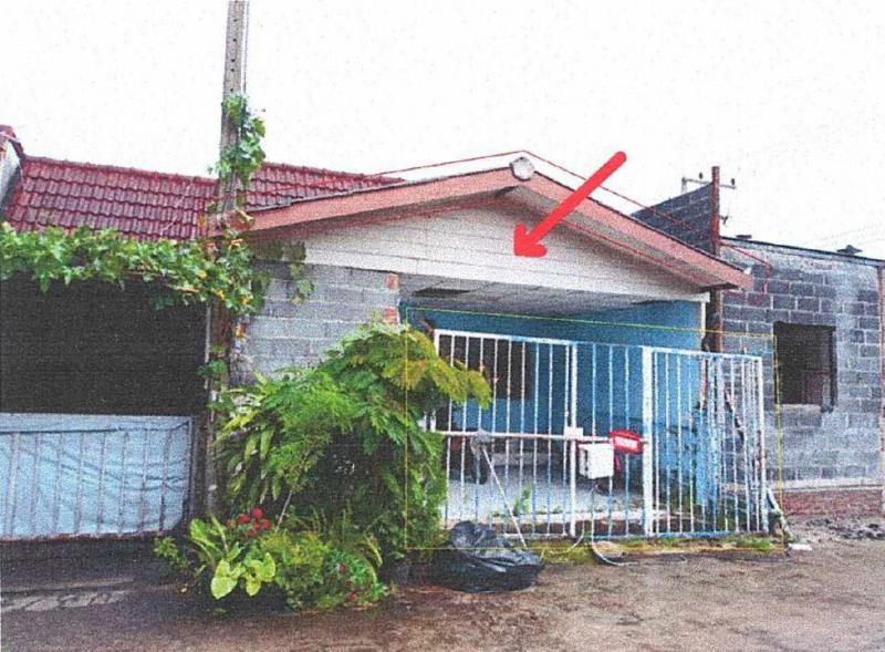 ลำผักกูด(คลองฝั่งใต้) ธัญบุรี ปทุมธานี