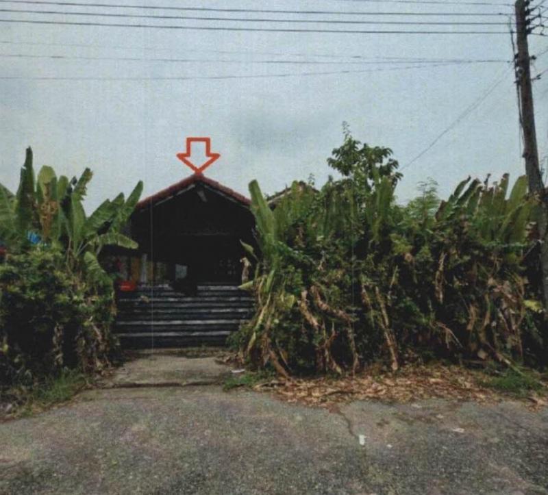 บึงสนั่น(คลองรังสิตฝั่งใต้) ธัญบุรี ปทุมธานี
