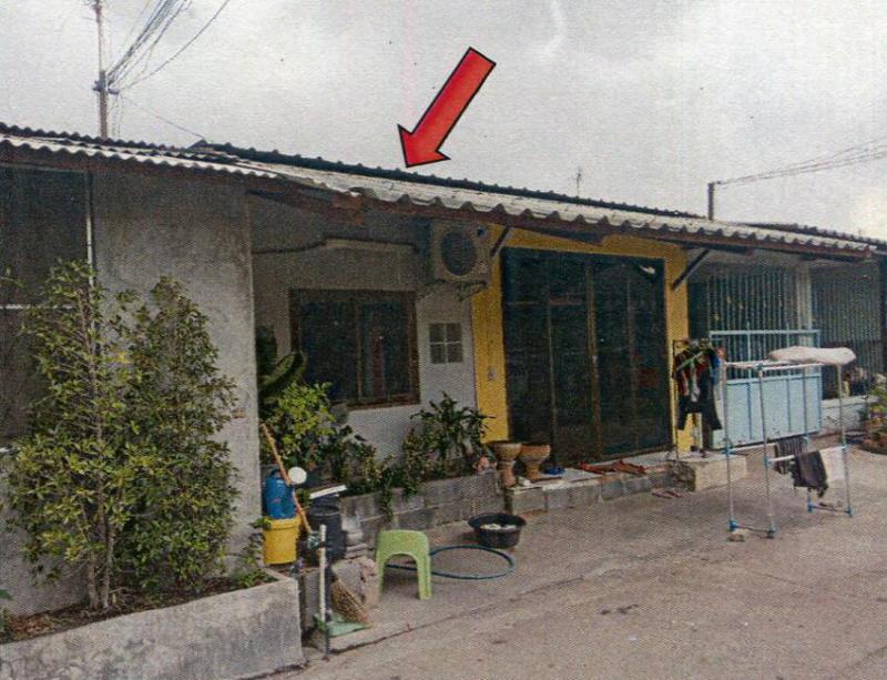 บึงสนั่น(คลองฝั่งใต้) ธัญบุรี ปทุมธานี