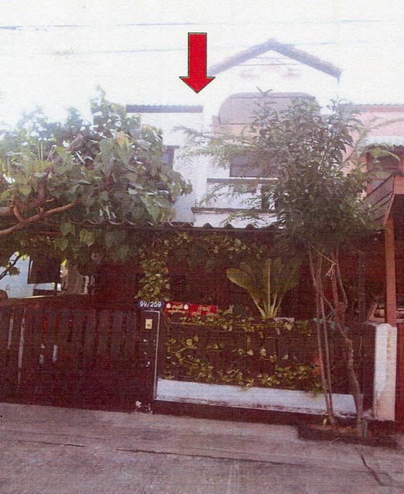 บึงสนั่น(คลองฝั่งใต้) ธัญบุรี ปทุมธานี