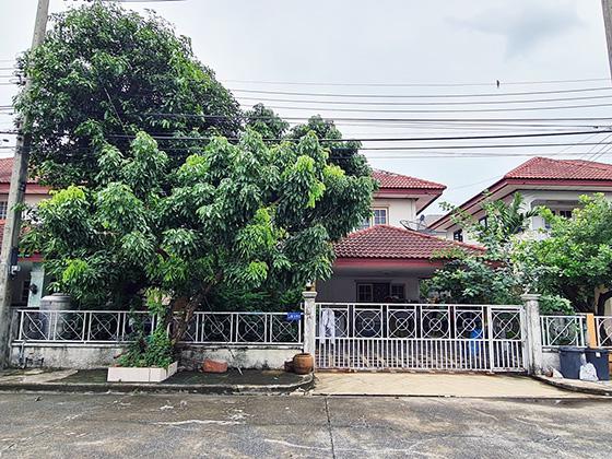 บึงยี่โถ ธัญบุรี ปทุมธานี