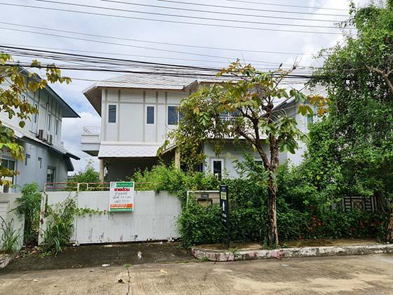 ประชาธิปัตย์ ธัญบุรี ปทุมธานี